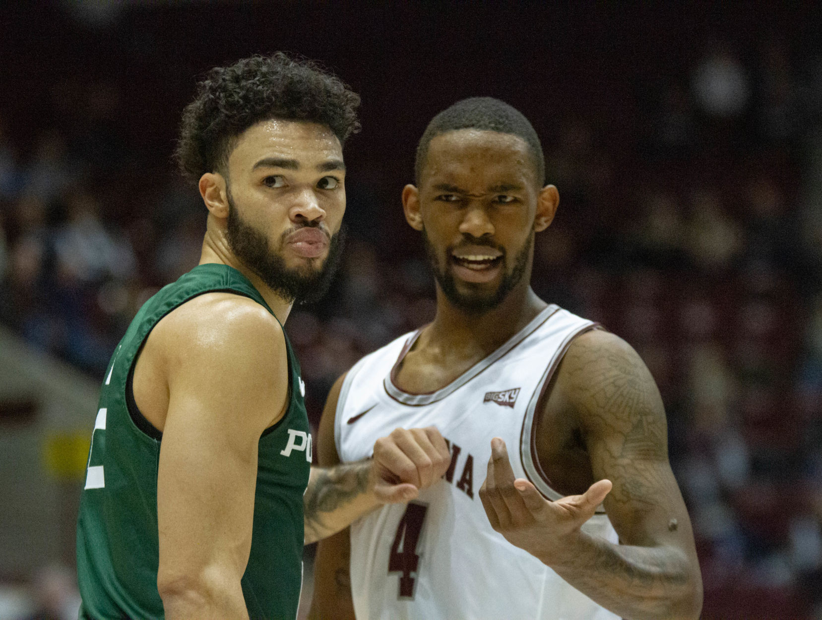 Griz vs. Portland State 03